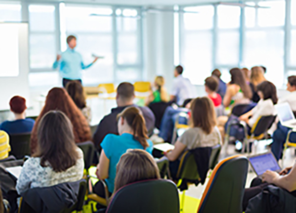 formazione per ispettori di revisione